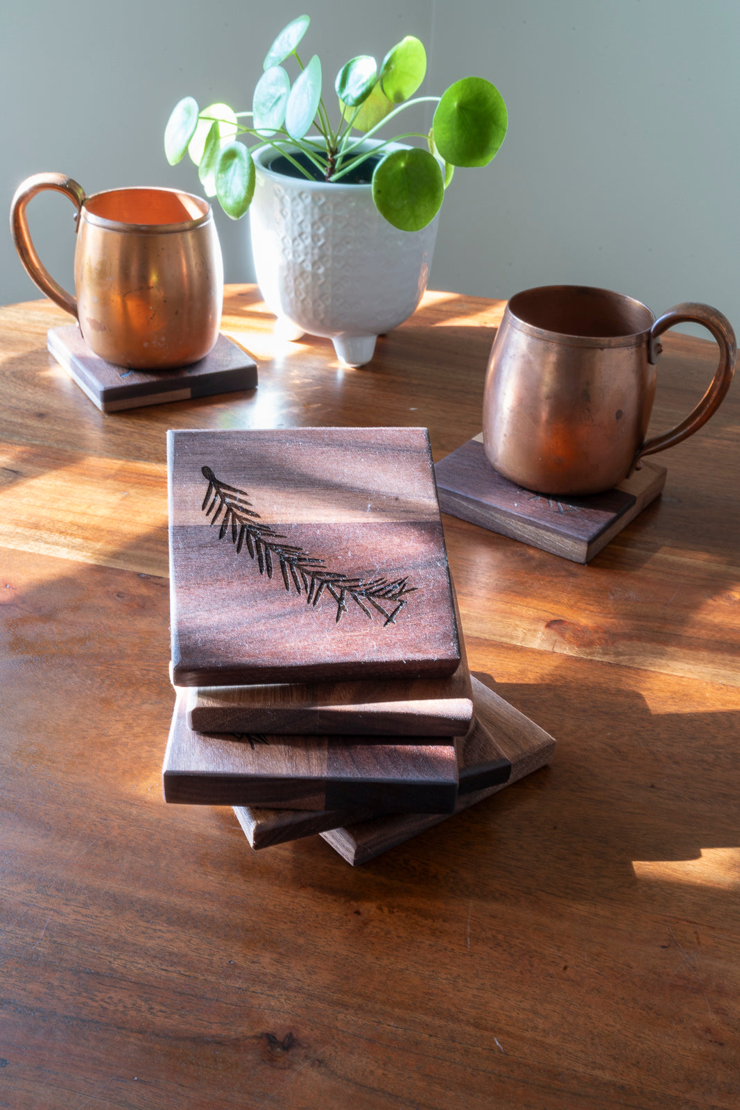 Redwood Reserve Coasters
